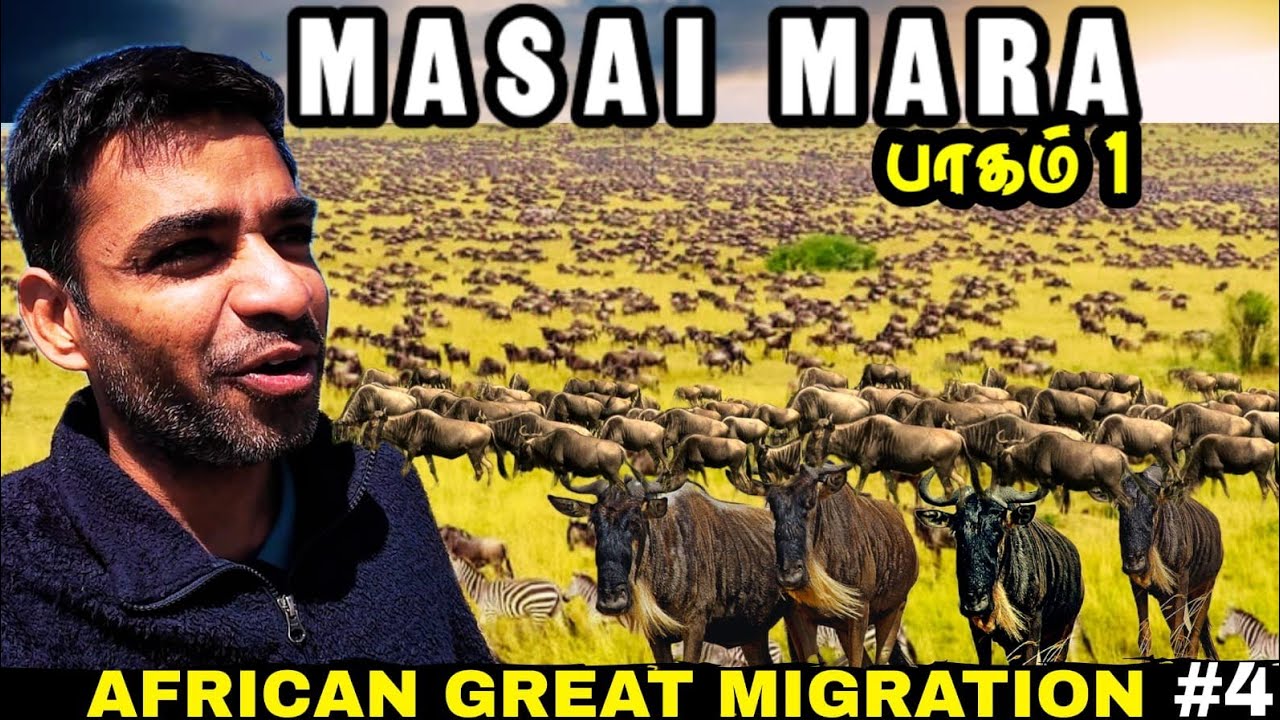 🌍World Famous African Safari உங்கள் குமாருடன்👍|🇰🇪Kenya ep4