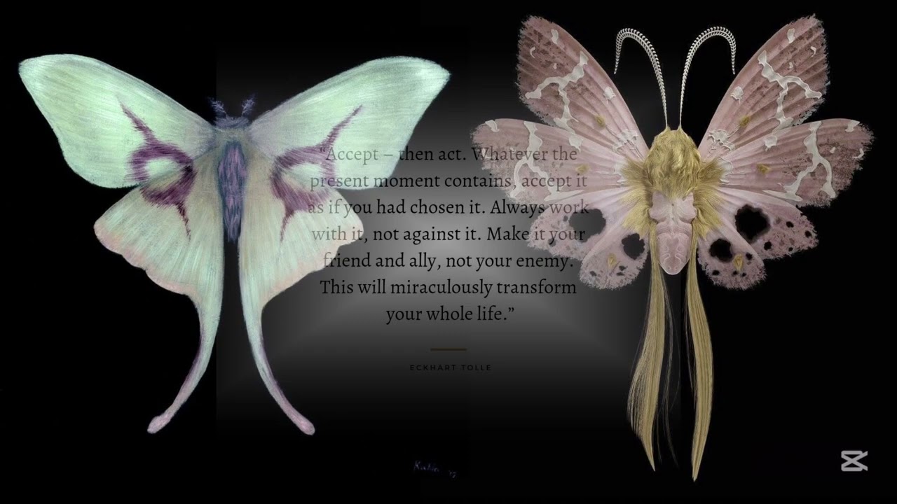PART107 DEEP Subconscious Identity Dissolution ’SO POTENT’