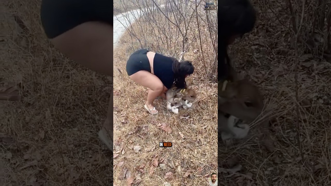 Heartwarming Animal Rescue Stories | Incredible Rescues & Happy Endings part 13