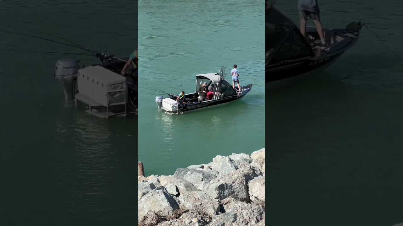 Ловят горбушу на севере штата Вашингтон #washington #visitwashington