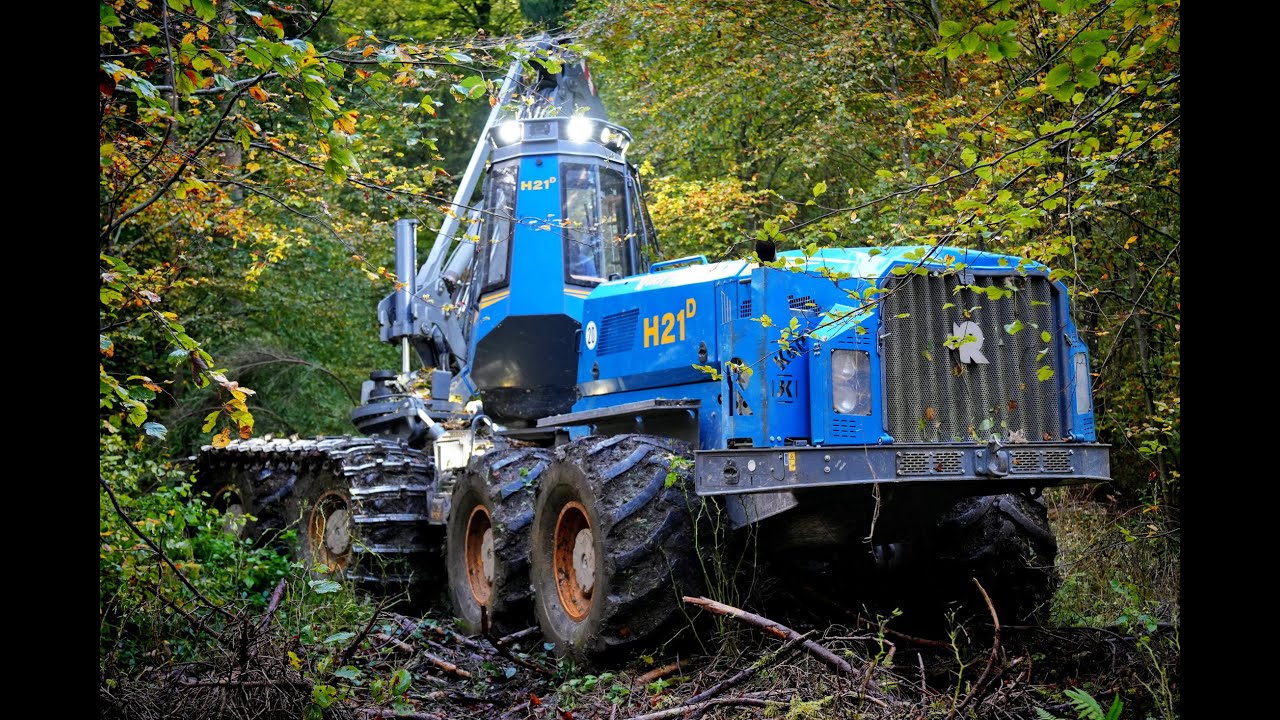 🌲2x Rottne • H21-D & F15-D • LoggingVideo • Harvester & Forwarder • Durchforstung • thinning🌲
