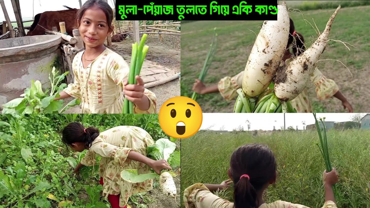 মুলা ও পেঁয়াজ তুলতে গিয়ে একি কাণ্ড হলো।।ভাই বোনের সাথে 😲 