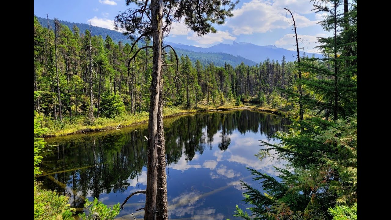 Squamish to Whistler on Sea-to-Sky Bike Trail