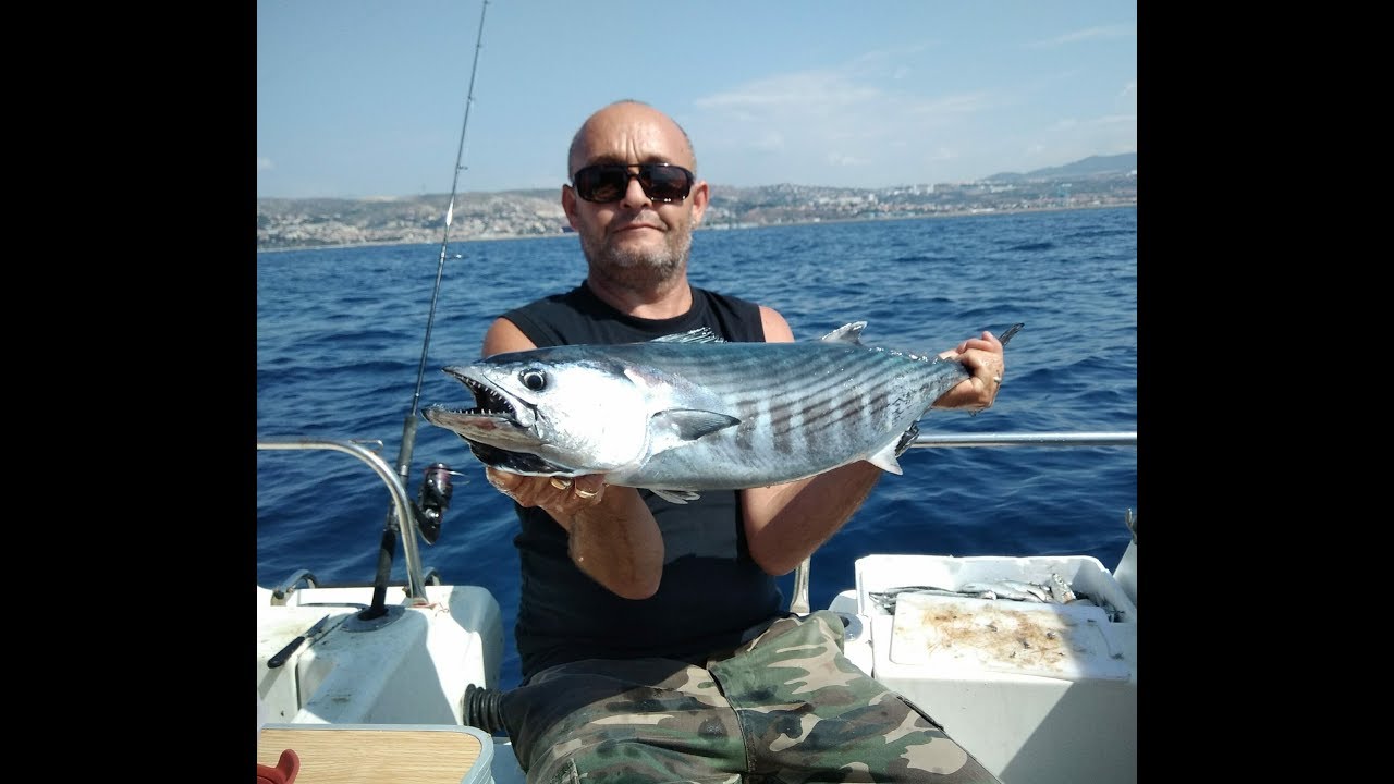 Pêche aux bleus en rade Nord