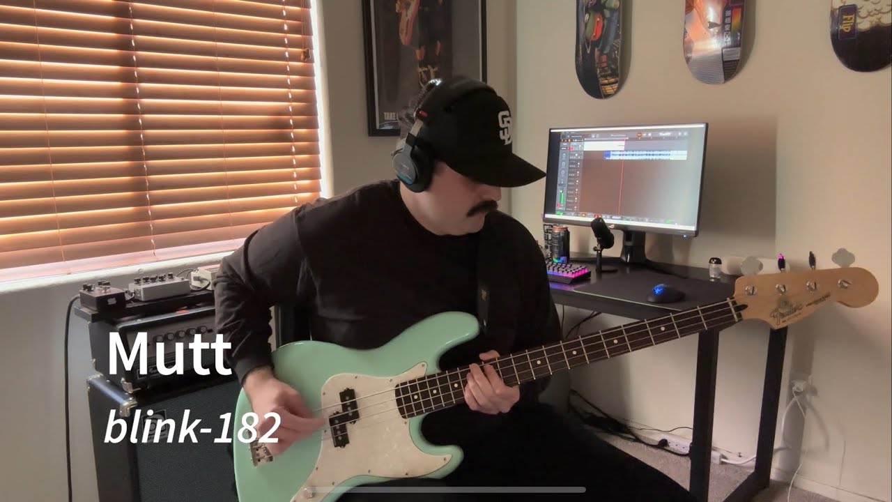 blink-182 - Mutt (Bass Cover)