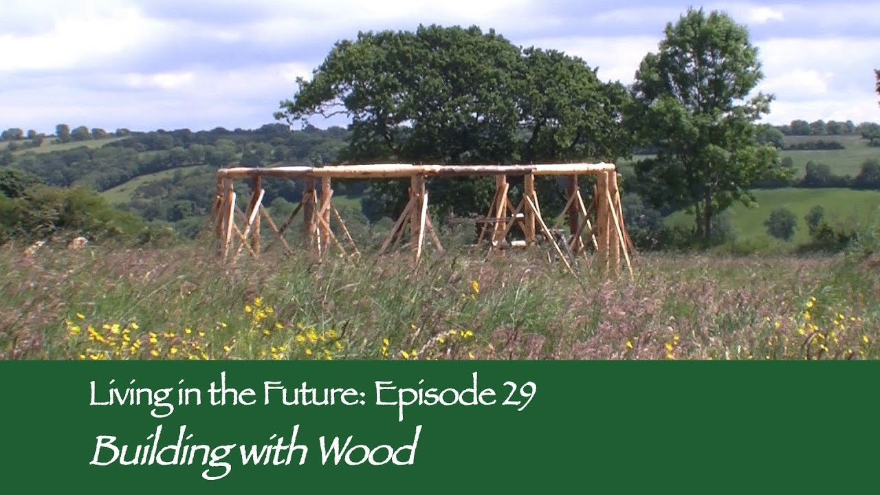 Building with Wood - Living in the Future (Ecovillages) 29