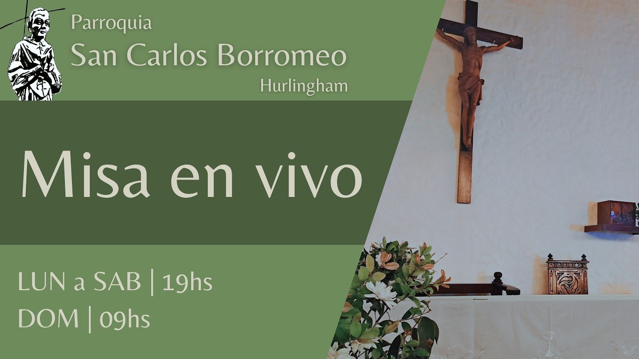 Misa en vivo - 14/02/2026
