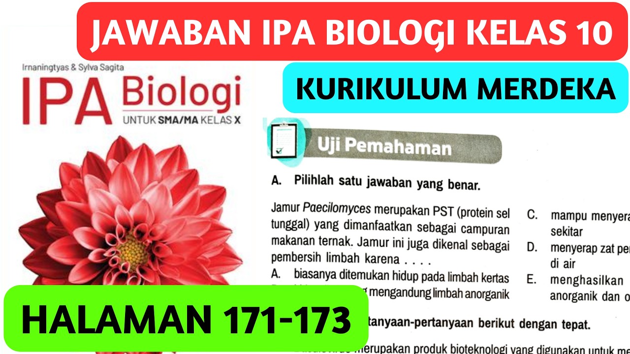 Kunci Jawaban IPA Biologi Kelas 10 Halaman 171 172 173 Uji Pemahaman BAB 3 Kurikulum Merdeka