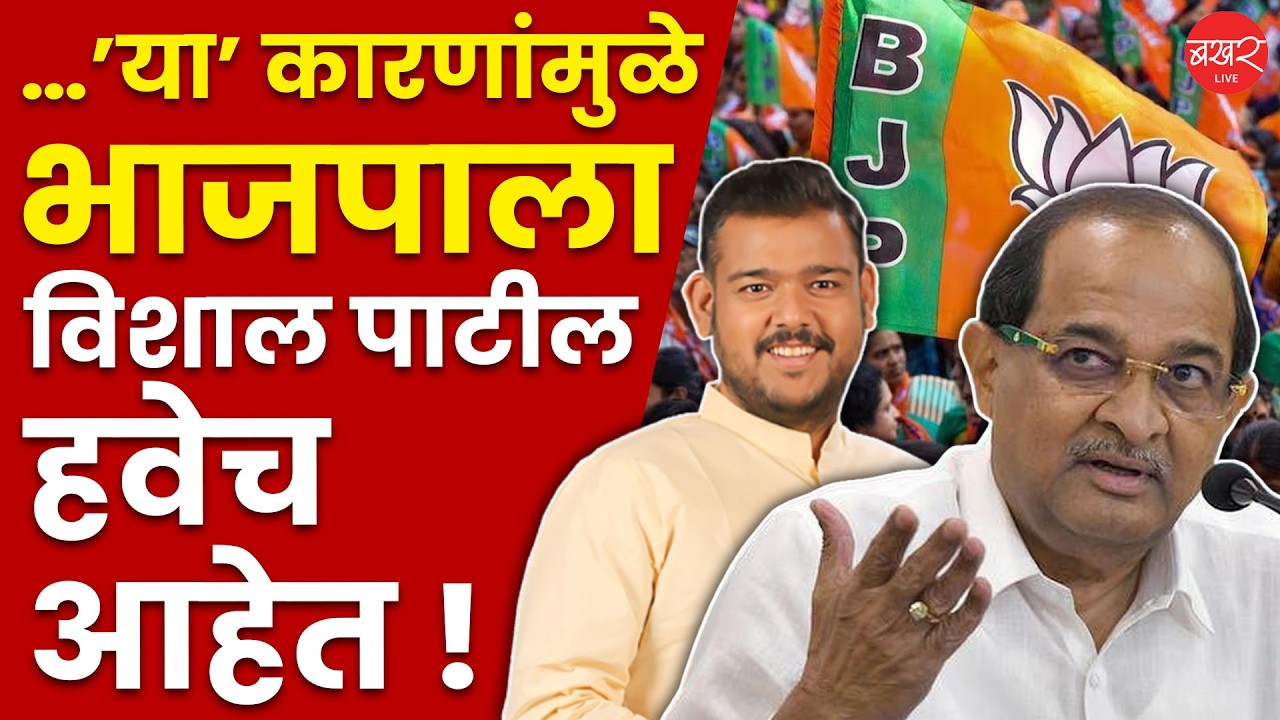 Radhakrishna Vikhe Patil On Vishal Patil | विखे पाटलांनी दिलेली ऑफर विशाल पाटील स्वीकारतील ?