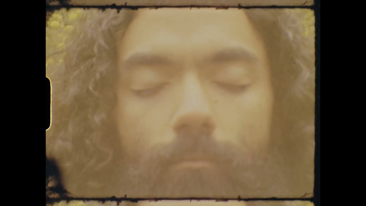 WAARI - WILT [Visualiser]