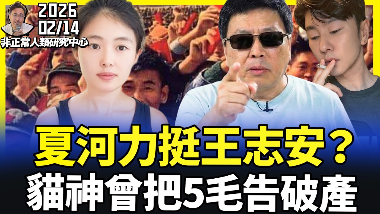 驚掉下巴！王志安造謠，夏河狂吹捧！貓神曾告把5毛告到傾家蕩產！鳳姐站錯隊被罵！