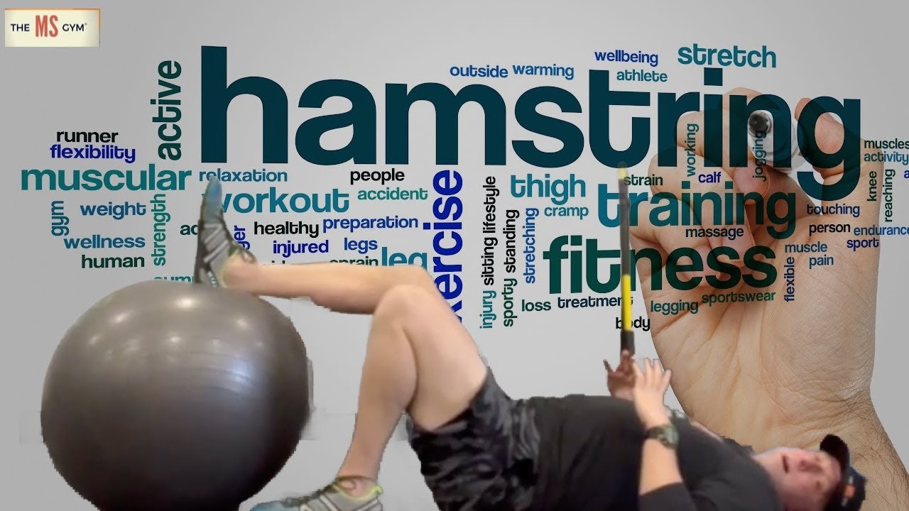 Strengthen Your Hamstrings So You Can Bend Your Knee - Multiple Sclerosis Exercise