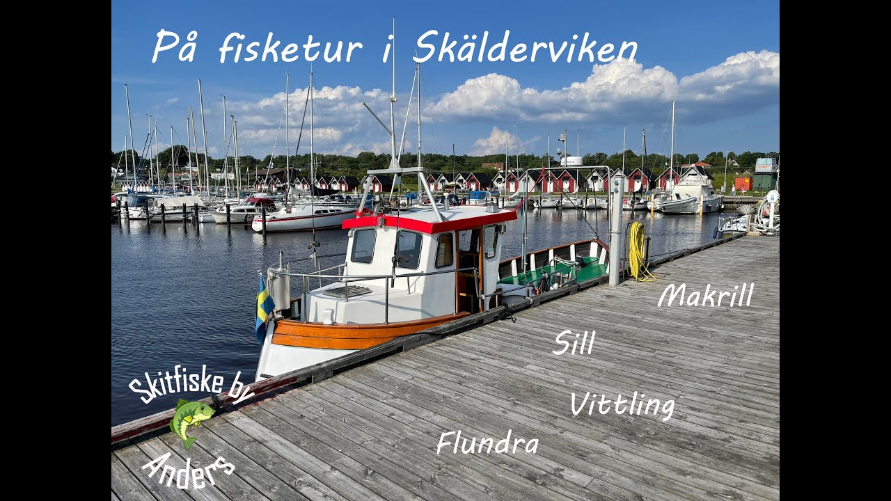 På fisketur i Skälderviken. Makrill.