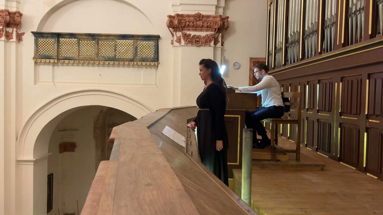 Ave Maria - Luigi Luzzi (wyk. Aleksandra Podwojska - mezzosopran, Patryk Podwojski - organy)