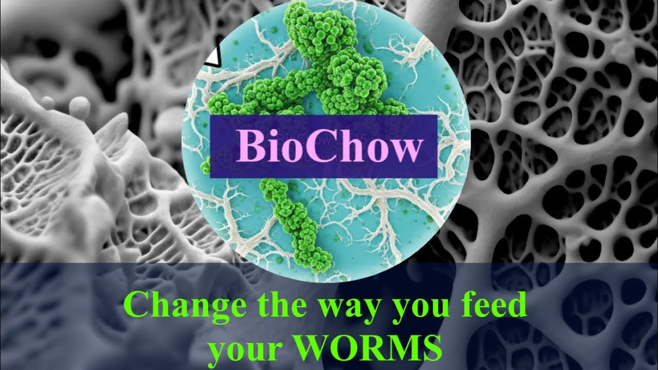 Революционизируйте питание червей с помощью BioChow, приготовленного своими руками: формула для к...