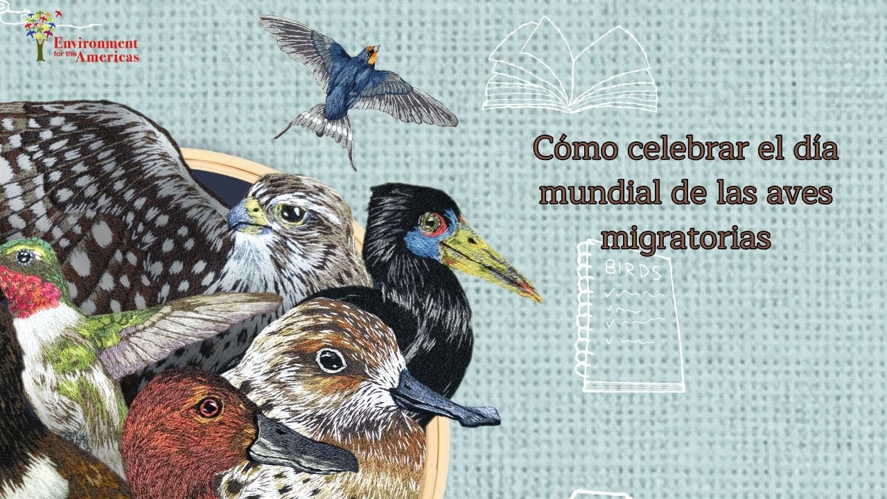 Formación para educadores - Día Mundial de las Aves Migratorias 2026