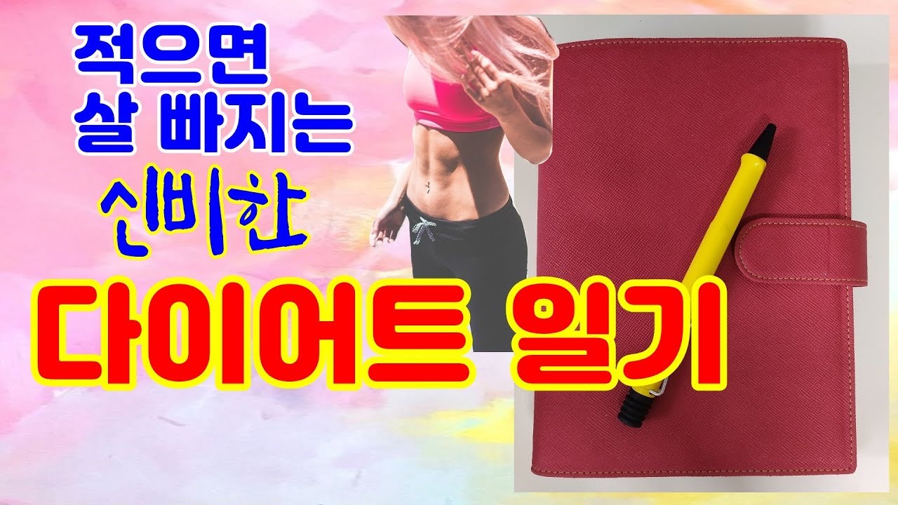 적기만 해도 살 빠지는 다이어트 일기 쓰는 방법/ 다이어트 식단 일기