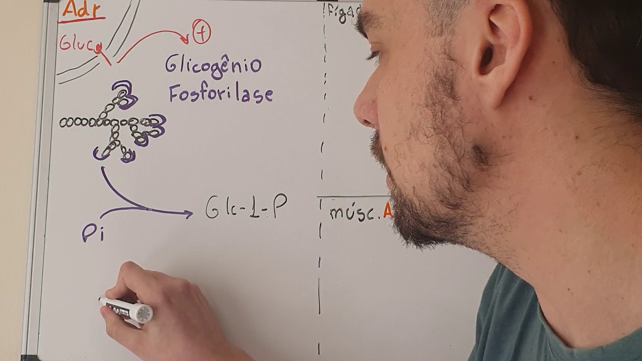 Glicogenólise