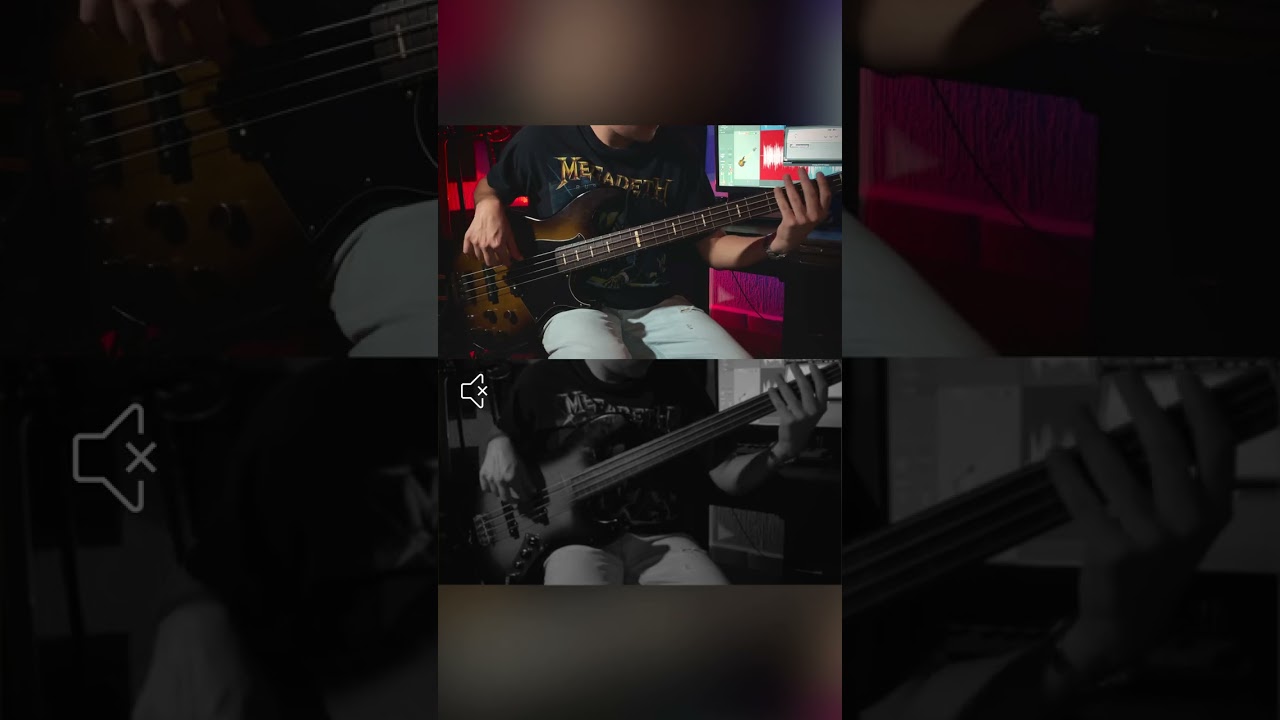 Fretless vs. Fretted Bass | Lumuria 