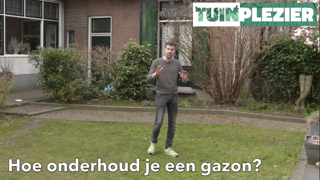 Hoe onderhoud je een gazon? | TUINPLEZIER