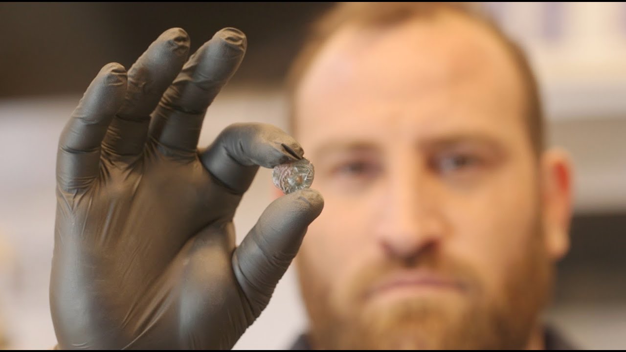“For the Redemption of Zion” a rare coin from Year Four of the Great Revolt discovered in Jerusalem