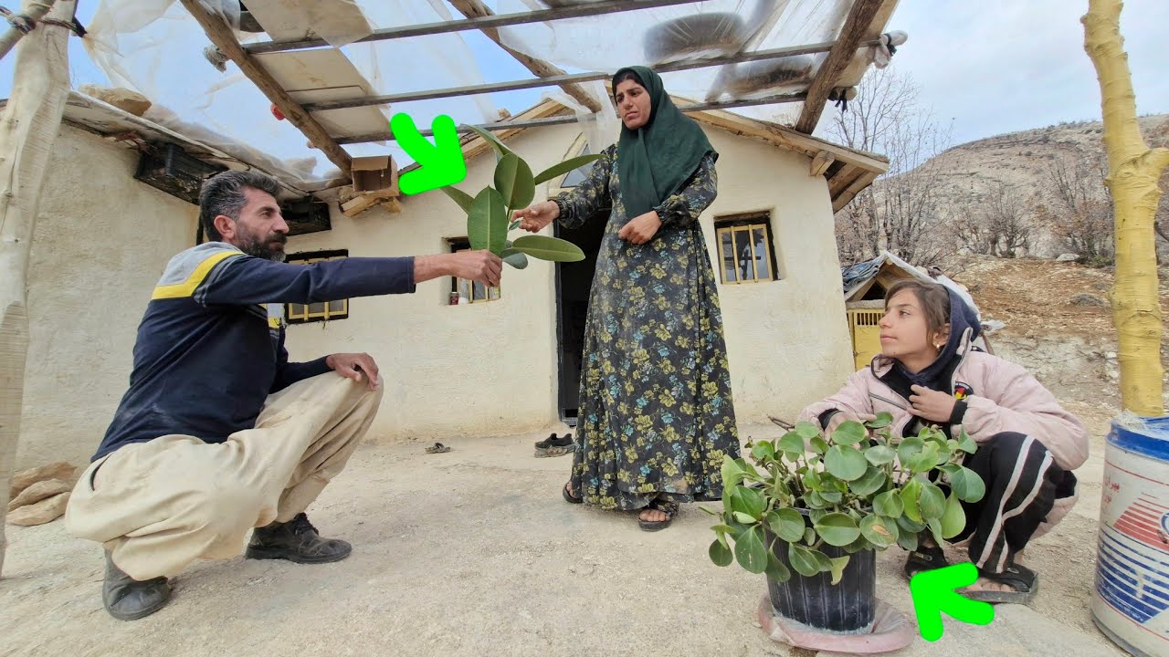 The story of a true love; Cyrus' help to a nomadic mother in the mountains