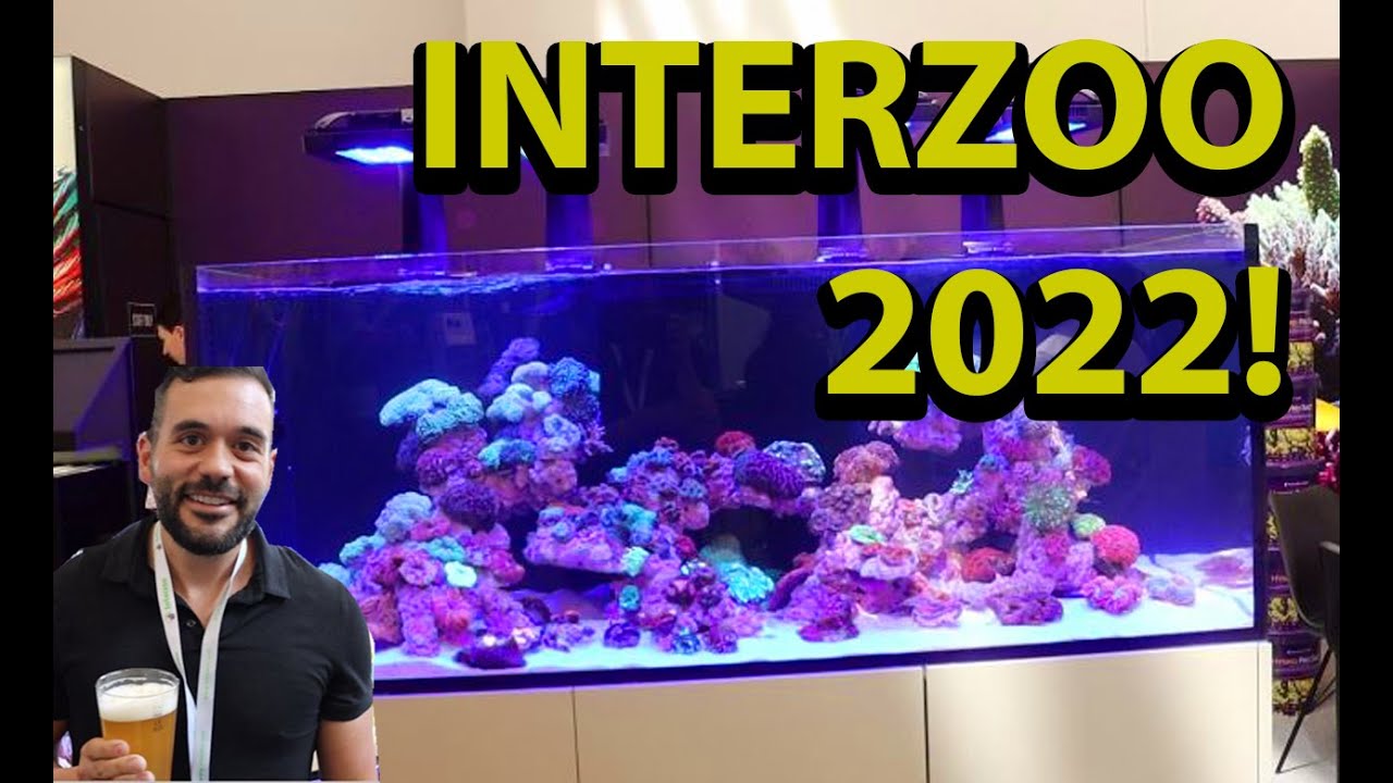 Fragbox Corals Covers Interzoo 2022
