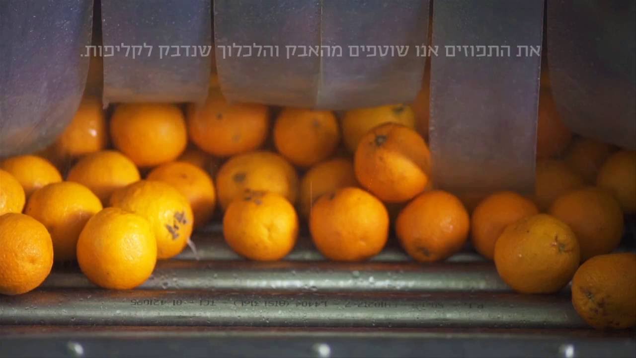 מיץ התפוזים של ארומה