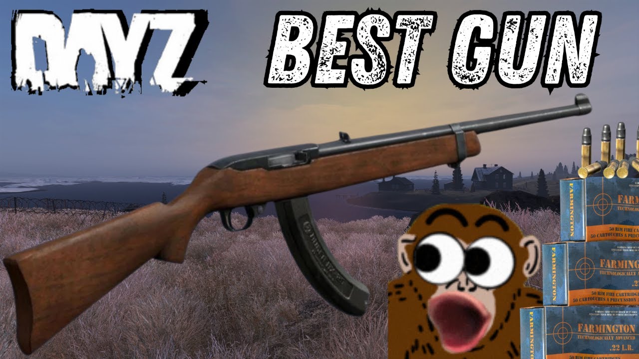 Why The Sporter 22 Is The BEST Gun In Dayz