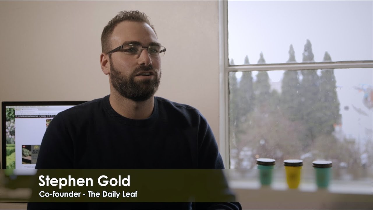 Stephen Gold on Cannabis Advocacy