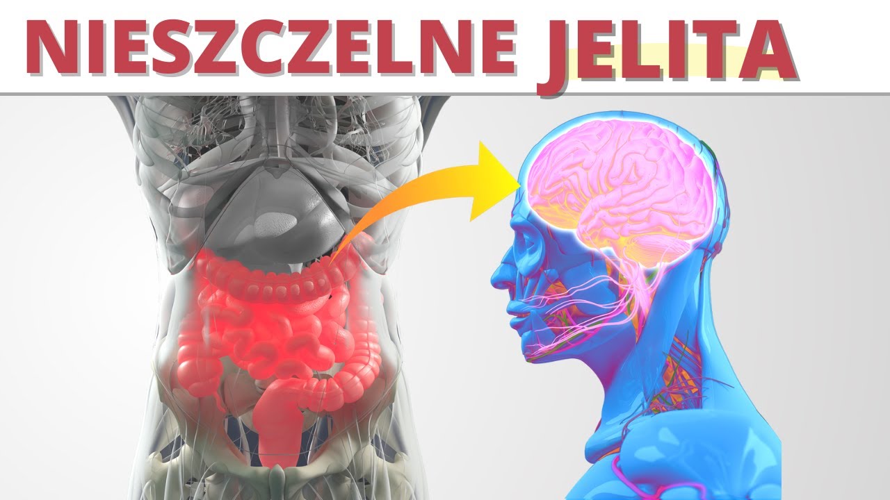 15 produktów na nieszczelne JELITA. Pozbądź się chorób.