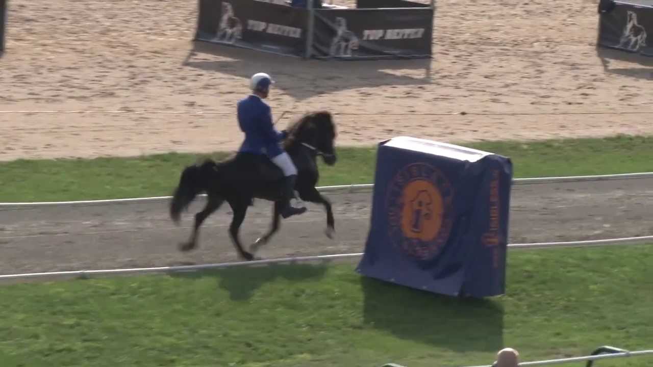 T2, prel, 2013, Jakob Svavar Sigurdsson, Alur, WC Icelandic Horses, Islandpferde-WM