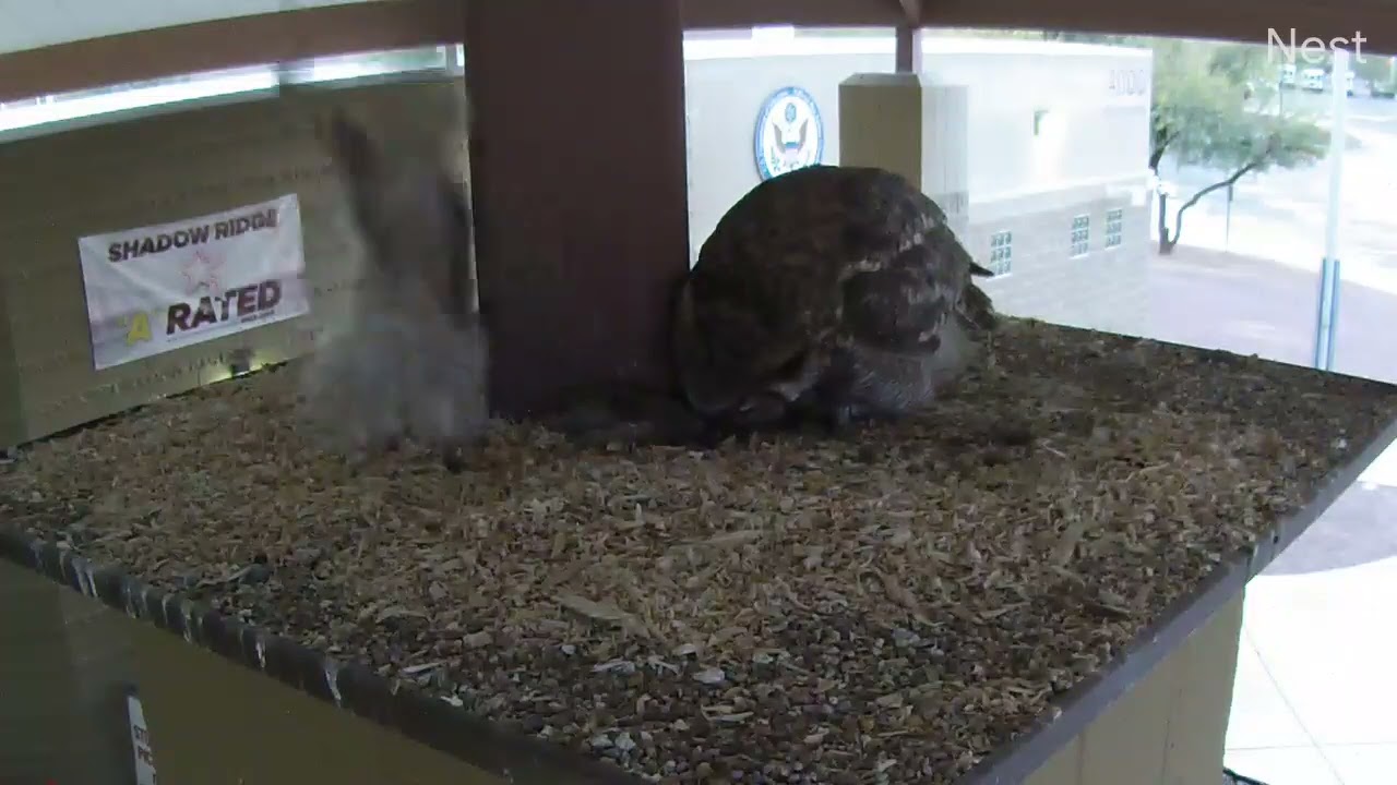 Fallon is beginning to explore.