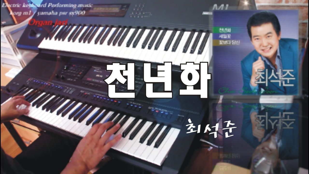 천년화 | 최석준