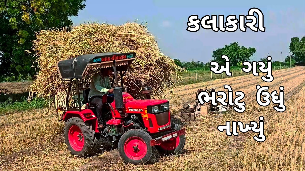 Aaje mini tractor thi Juvar no stock karyo #minitractor #status #tractorstunt #farming #kheti