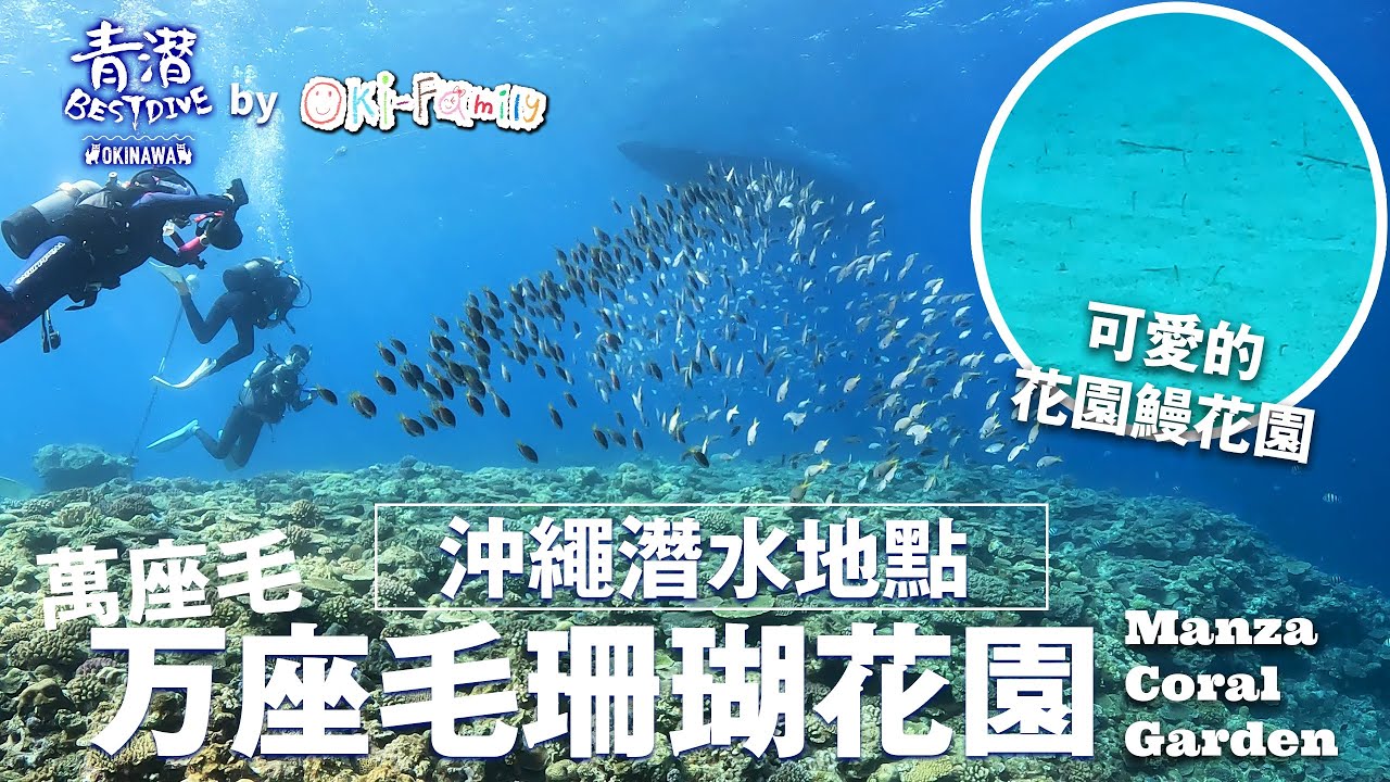【沖繩潛點 Okinawa Dive sites｜#万座毛 船潛秘點】#花園鰻花園 #秘密万座毛珊瑚花園 #GardenEel #ManzaCoralGarden (超高清 4K)