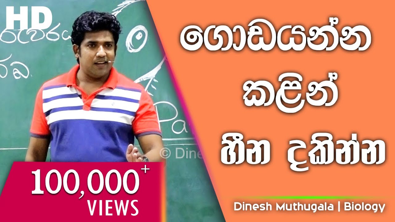ගොඩ යන්න කලින් හීන දකින්න | Dinesh Muthugala |  පැය 6ක බයෝ පන්තියේ ජීවිතේ කියාදෙන විනාඩි 10