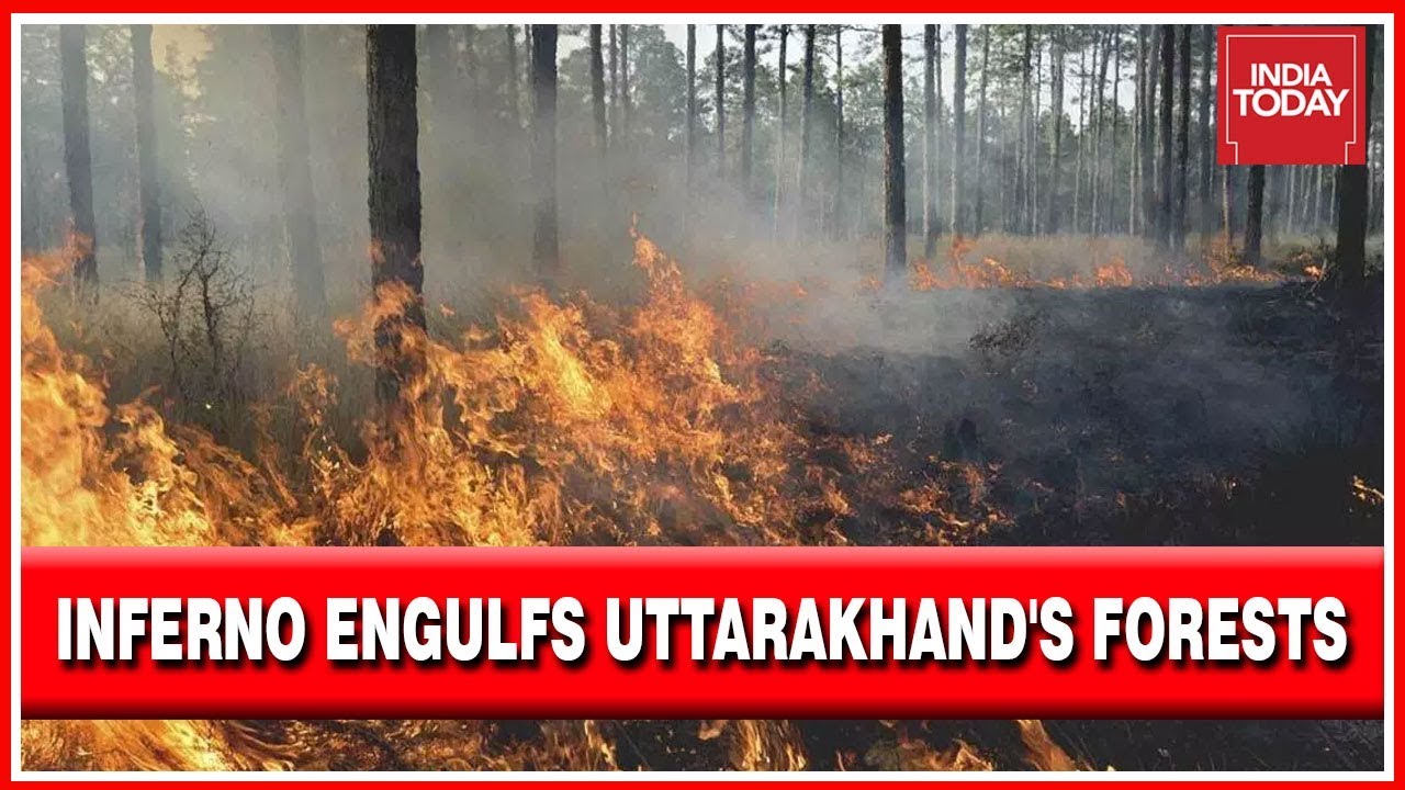 Forest Fire Engulfs The Forests In Uttarakhand; Orange Alert Issued In Uttarakhand