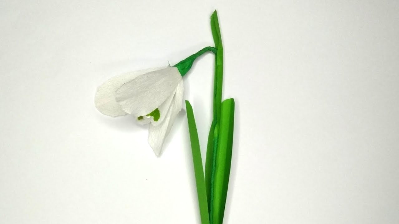 How to Make Snowdrop Paper Flower |  Flower | Art and Craft