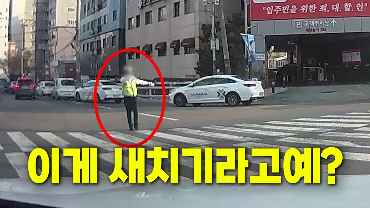26607회. 새치기로 단속당했는데 이게 맞나요?? 부산 이 곳 다니실 땐 조심하셔야겠습니다!!