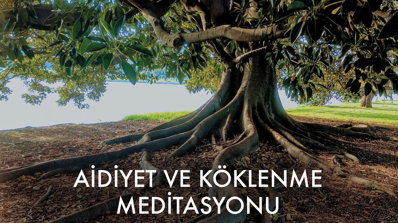 AİDİYET ve KÖKLENME MEDİTASYONU