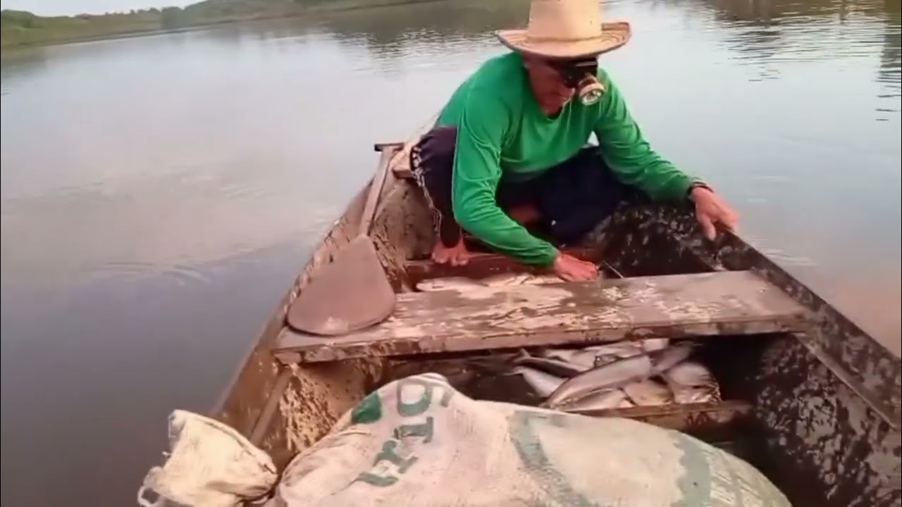 ME ACOMPANHA (muitos peixes).