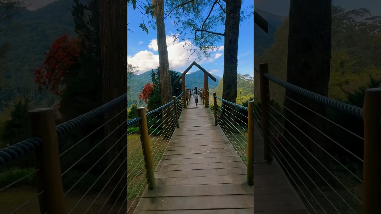 Lugar Lindo em santo Antonio do Pinhal💕#lugaresdobrasil