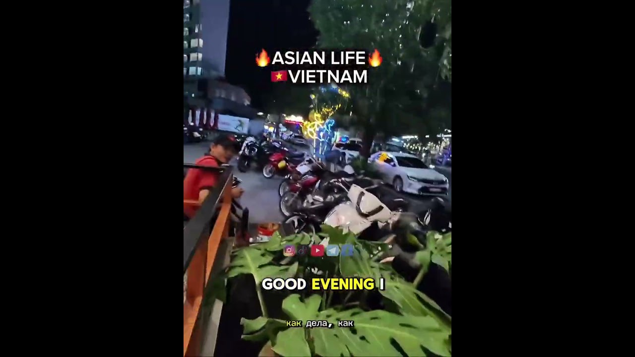 A Glimpse of Asian Life  Vietnam Edition