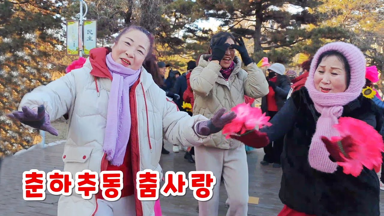 춘하추동 지루박 춤사랑 중국 연변 연길 一年四季爱跳广场舞中国延边延吉 Square Dance Yanbian Yanji
