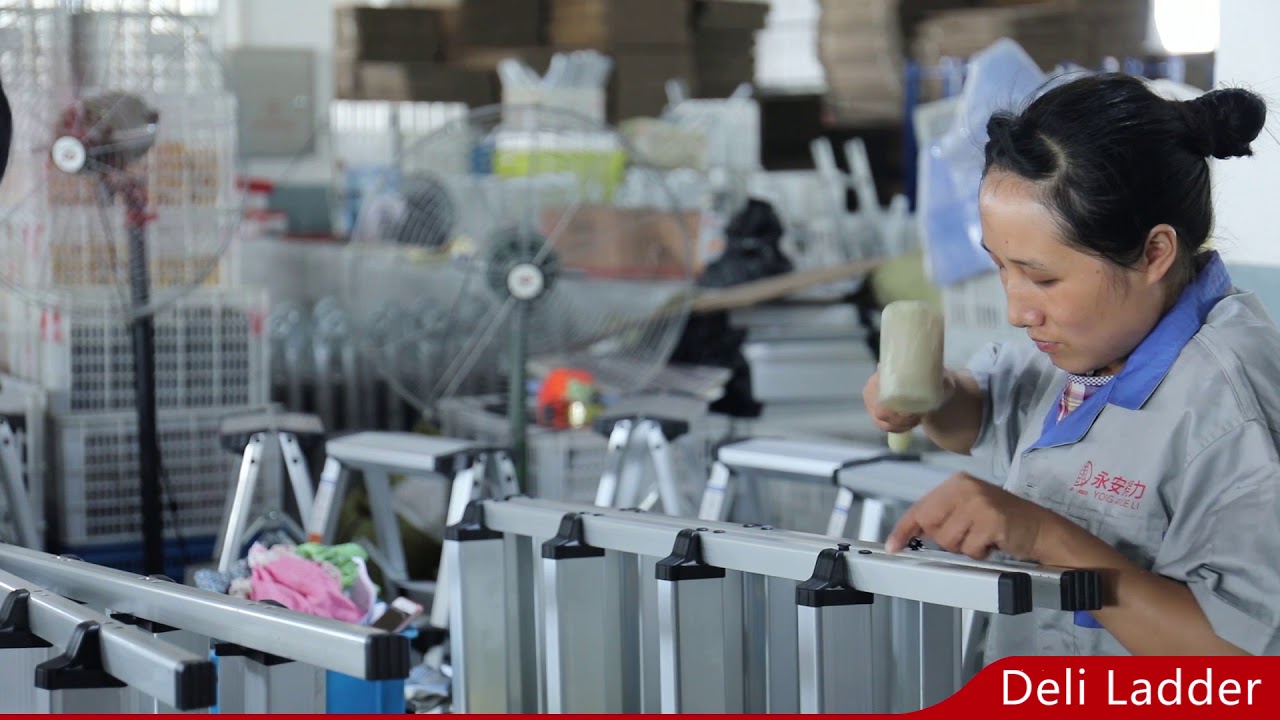 Deli Ladder - China ladder factory