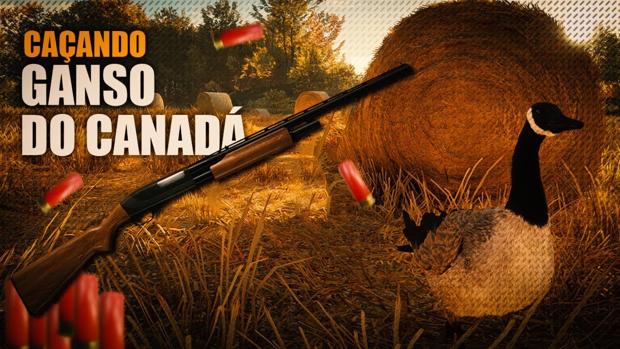 CA&Ccedil;ADA DE GANSO DO CANADA - THE HUNTER CALL OF THE WILD BRASIL