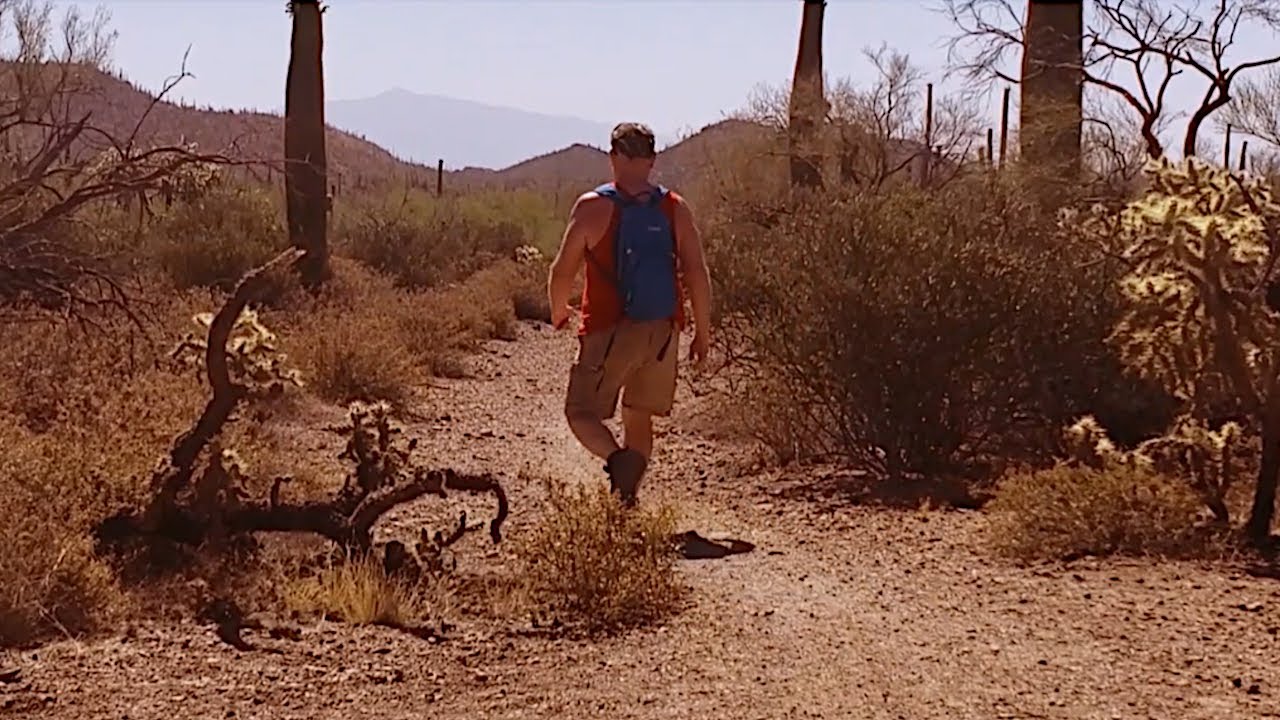 🥾 This Hike Will Relax You | Tucson Arizona Mountain Park [Desert Nature Sounds] 🌵