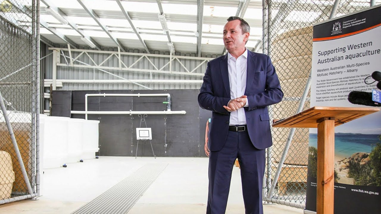 ‘Political star’: WA Premier Mark McGowan was a 'sensational' politician