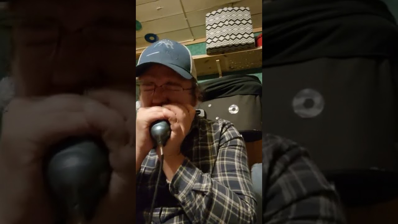 Cheap amplified harmonica that sounds surprisingly good